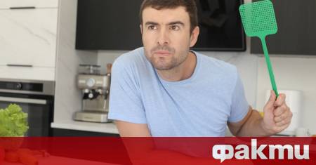 С настъпването на топлите летни дни освен приятно слънце и