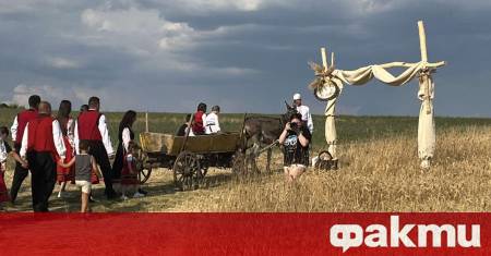 Земеделски стопани от Южна България алармират за сериозни финансови загуби