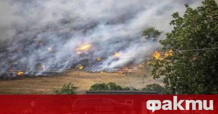 Планетата е притисната от безпрецедентна вълна от екстремни метеорологични събития
