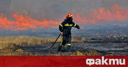 В Гърция на много места продължават да бушуват пожари, което