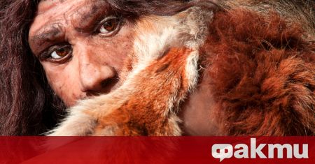 Специфична форма на протеин предадена от неандерталците предпазва от тежко