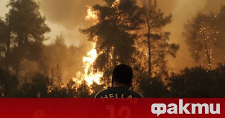 В Гърция от седмици бушуват опустошителни пожари, най-вече северно от