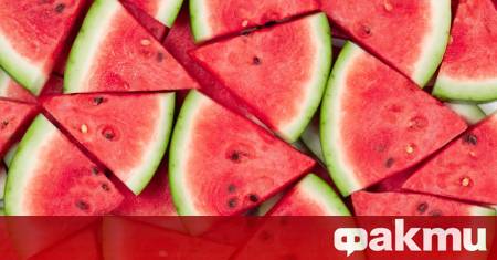 Днес светът отбелязва Деня на динята един от най обичаните летни