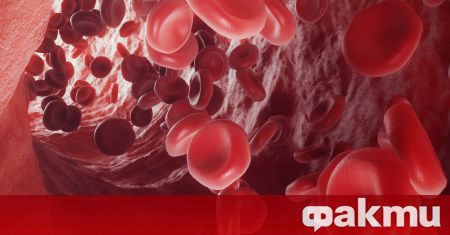 Нидерландски учени откриха за първи път микропластмаса в човешка кръв