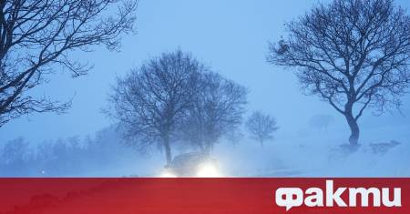 Дания днес е отчасти парализирана заради значителни снеговалежи в голяма