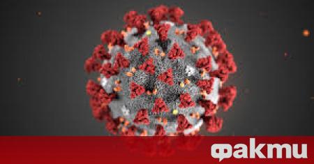 25 са случаите на новозаразени с коронавирус през последните 24