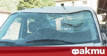 Шофьорка се размина без сериозни наранявания след като дърво падна