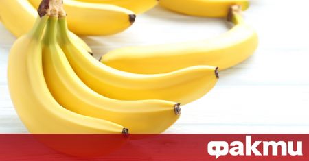 Невероятната популярност на бананите им е осигурила солидно присъствие (отглеждани