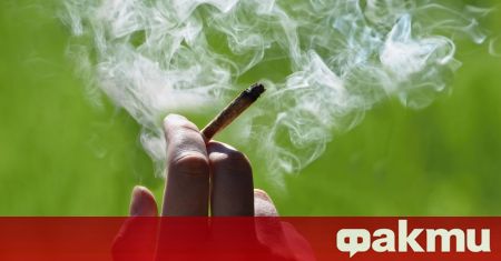 Учени от университета в Гранада установиха че употребата на марихуана