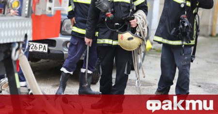 Пожар с огромни щети в стопанство в Петрич. Според потърпевшите