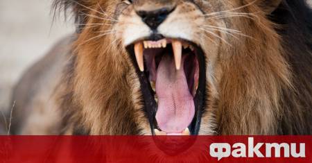 59 годишният германски бизнесмен и природозащитник Бернд Кебел загина трагично след