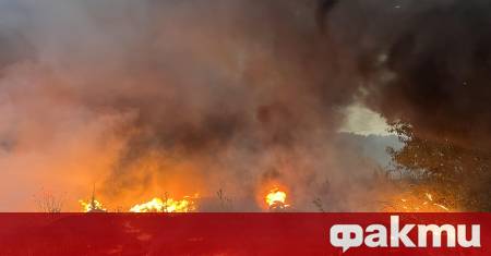 Министерски съвет следва да преразгледа стратегията на България за овладяване