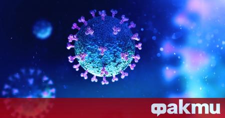 Новият коронавирус е три пъти по агресивен спрямо белите дробове на