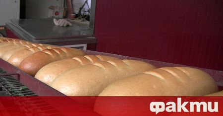 Президентът призова правителството да разгледа проблема с хлебопроизводството Много е важно