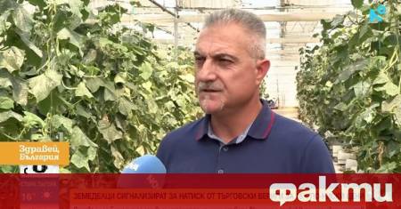 Земеделци обвиняват част от търговските вериги в натиск да намалят