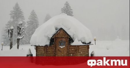 Обилен снеговалеж изкорени дървета в Северна Италия Службите за спешна