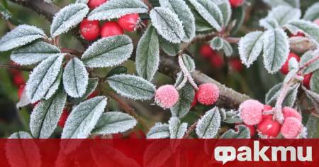 През нощта облачността ще намалее Ще духа умерен до силен