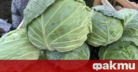 Поевтиняват плодовете и зеленчуците на борсите в страната през последната