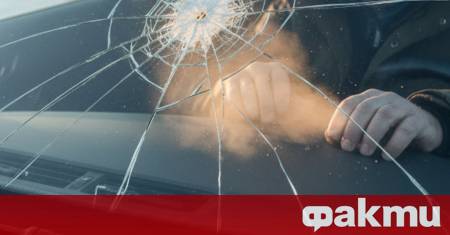 Зимата е сезонът който подлага на най сурови изпитания не