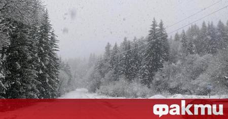 Още в ранните часове на празничното утро заваля сняг на