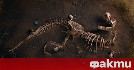 На английският остров Уайт са открити останки от най големия динозавър