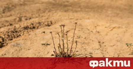Почти цяла Португалия е обхваната от тежка суша след рекордни