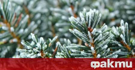 През нощта над по голямата част от страната ще е