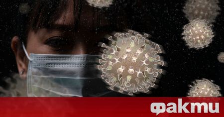 Нов вариант на коронавируса е открит в началото на декември