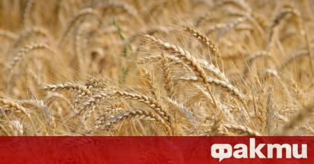 Земеделските стопани в Добричкия регион очакват от 150 до 400