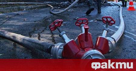 7 коня изгоряха при пожар във Варна Инцидентът стана през