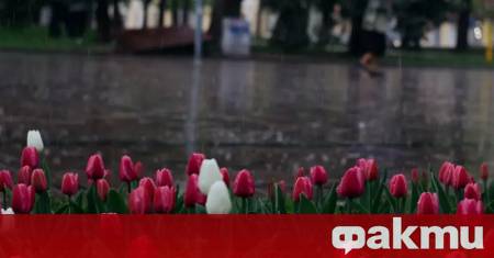 Ще бъде предимно слънчево преди обяд но с развитие на