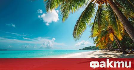 Мнозина вече се настройват на коледна вълна Отвсякъде ни заливат