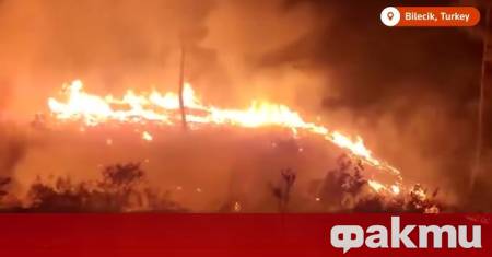 Турция се бори със сериозна огнена стихия докато страната е