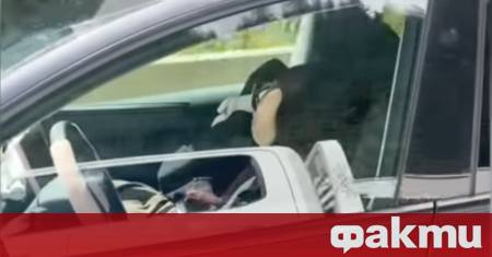 В интернет се разгръща нова глава в продължаващия дебат относно