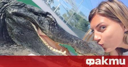 В САЩ момиче се пребори с алигатор който я ухапа