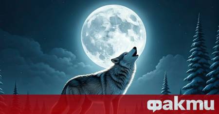 Първото пълнолуние за годината през януари ще бъде съпътствано и