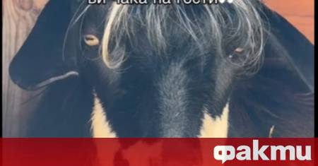Само на 15 минути от столицата живее социалният феномен и