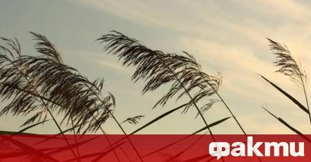 Отново ще бъде много ветровито с умерен и силен вятър