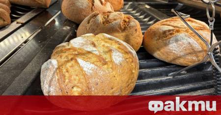 През последните години хлябът се превърна в един от най