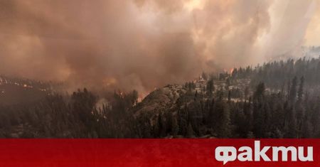 Опустошителните горски пожари в сибирския Красноярски край взеха седем жертви,
