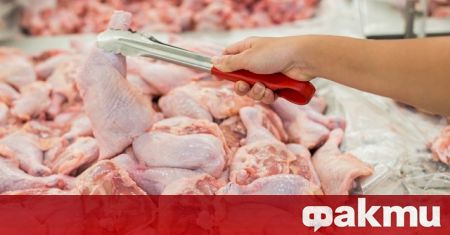 Властите във Великобритания решиха да унищожат 10 500 пуйки, след