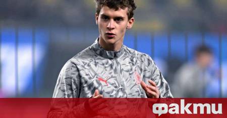 Максимилиан Ибрахимович син на бившата звезда на Милан и Швеция