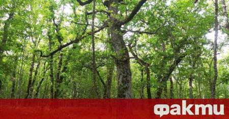 По предложение на природозащитната организация WWF България Министерството на околната