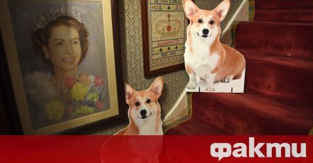 Британската кралица Елизабет Втора има ново кученце от породата корги