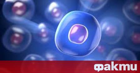 Lonvi Biosciences китайски стартъп специализиран в медицината за дълголетие разработва