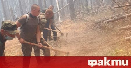 Над 10 000 декара гори са пострадали при пожара в