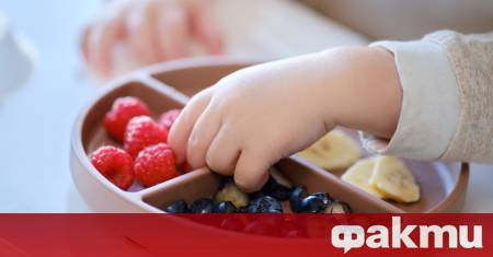 Включването на боровинки при храненето на бебетата може да засили