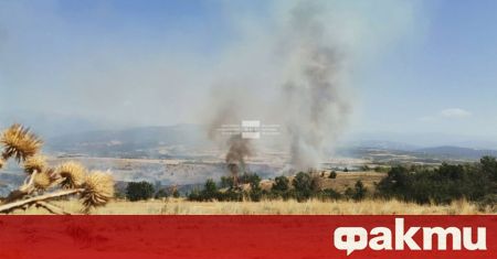 Сухи треви и храсти горят край благоевградското село Бучино Огънят