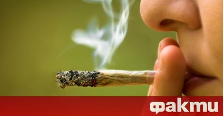 Германия е все по близо до легализирането на марихуаната до края