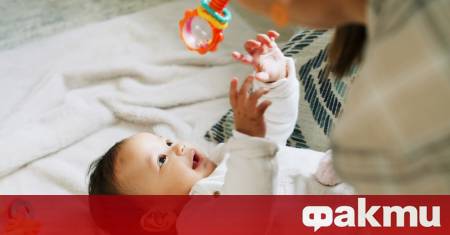 Бебетата могат да различават различни видове обекти още на 2